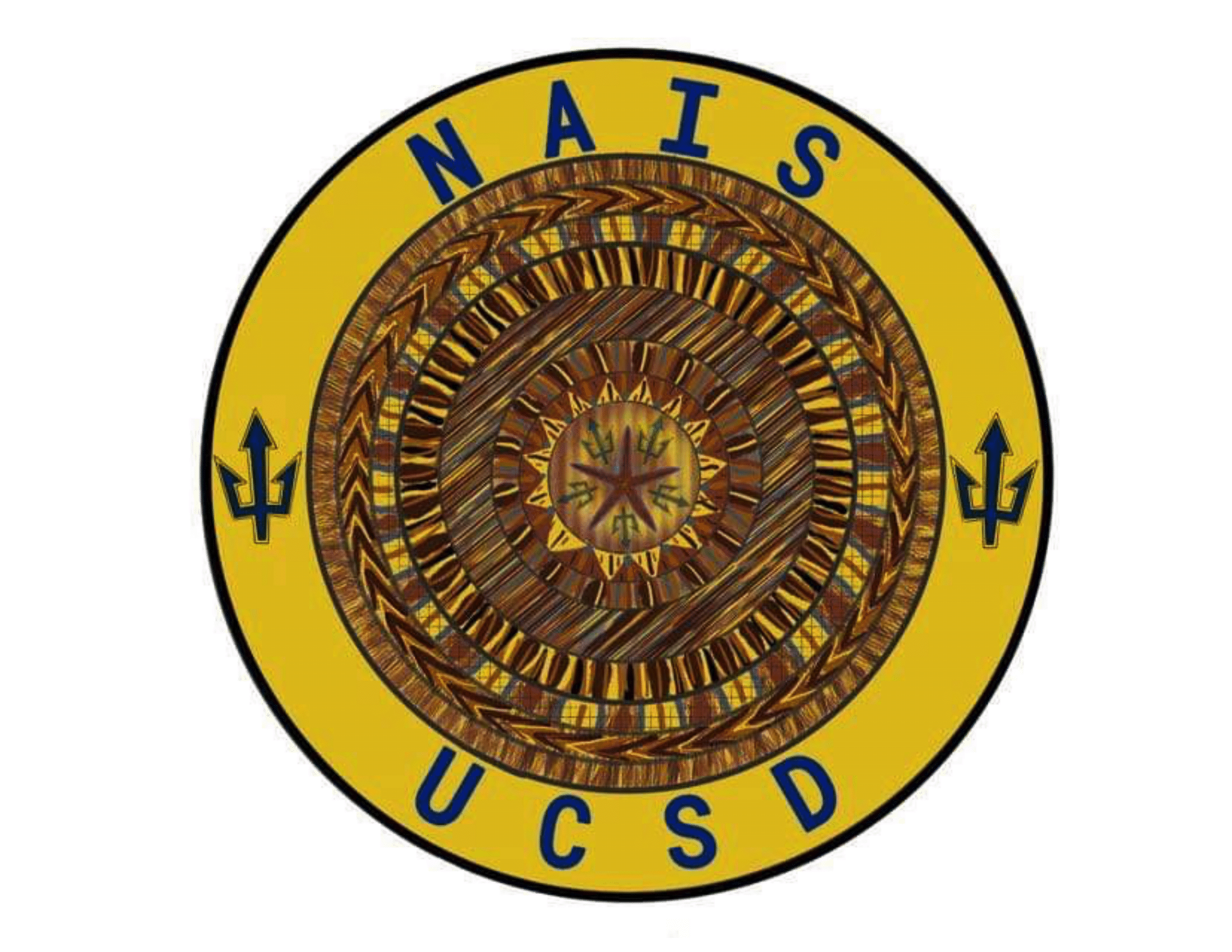 NAIS-logo1.png